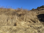 Enlarge photo 39