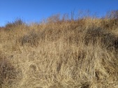 Enlarge photo 40