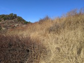 Enlarge photo 41