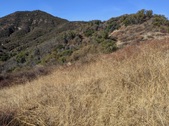 Enlarge photo 42
