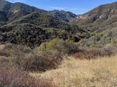 Enlarge photo 43