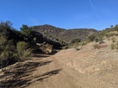 Enlarge photo 44