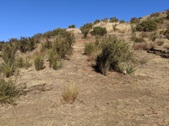 Enlarge photo 45