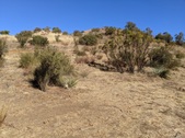 Enlarge photo 46