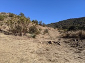 Enlarge photo 47