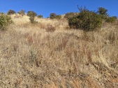 Enlarge photo 49