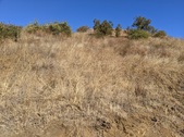 Enlarge photo 51