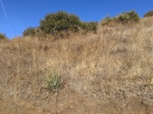 Enlarge photo 52