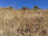 Enlarge photo 53