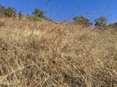 Enlarge photo 54