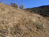 Enlarge photo 55