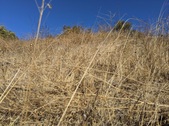Enlarge photo 56