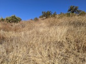 Enlarge photo 57