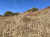 Enlarge photo 58