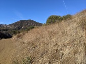 Enlarge photo 59