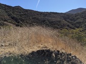 Enlarge photo 61