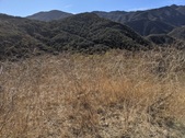 Enlarge photo 63
