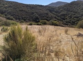 Enlarge photo 64