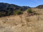 Enlarge photo 65