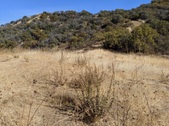 Enlarge photo 66