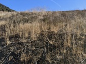 Enlarge photo 72