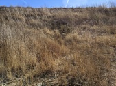 Enlarge photo 77