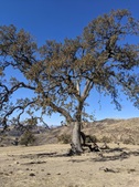Enlarge photo 1