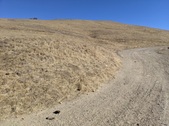 Enlarge photo 28