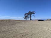 Enlarge photo 29