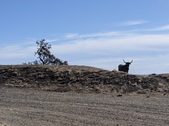 Enlarge photo 30