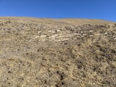 Enlarge photo 31