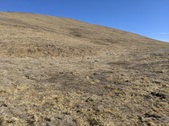 Enlarge photo 33