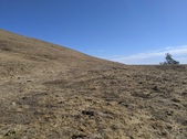 Enlarge photo 34