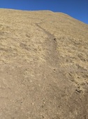 Enlarge photo 35
