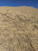 Enlarge photo 38