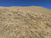 Enlarge photo 39