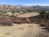 Quail Trail