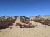 Enlarge photo 30
