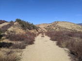 Enlarge photo 31