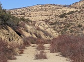 Enlarge photo 32