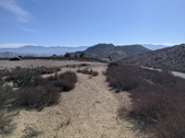 Enlarge photo 34