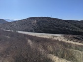 Enlarge photo 35