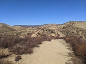 Enlarge photo 37