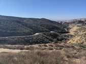 Enlarge photo 39
