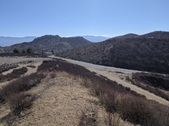 Enlarge photo 41