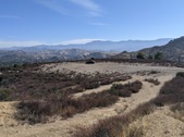 Enlarge photo 43
