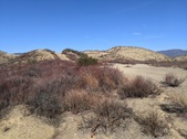 Enlarge photo 51
