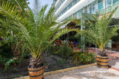 Enlarge photo 12