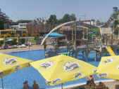 Enlarge photo 38