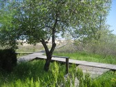 Enlarge photo 15